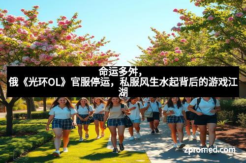 命运多舛，俄《光环OL》官服停运，私服风生水起背后的游戏江湖